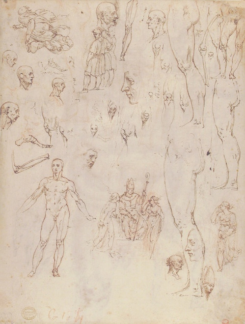 Digital Print - Figure Studies by Giovanni Ambrogio Figino