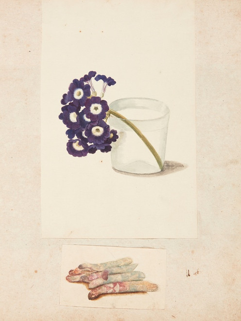 Digital Print - Studie af blomst i glas med vand og hvide asparges by Johanna Fosie