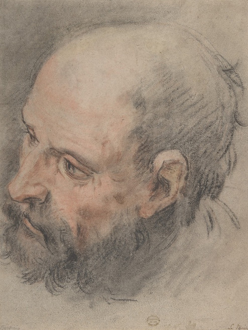 Digital Print - Head of a Bearded Man Looking Left by Franois Lemoyne