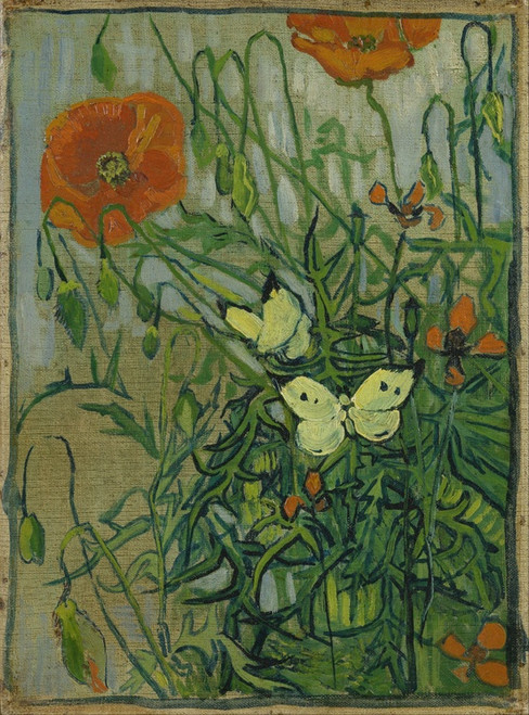 Digital Print - Butterflies and poppies by Vincent van Gogh