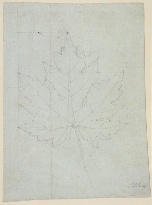 Digital Print - Maple leaf by Philipp Otto Runge