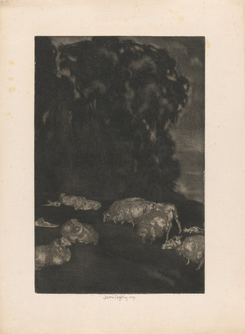 Digital Print - Sheep in Twilight by John Copley