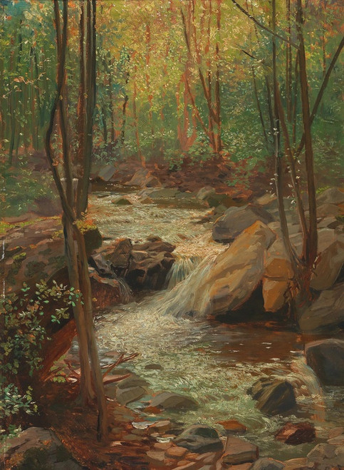 Digital Print - Woodland Stream by Alexander Demetrius Goltz