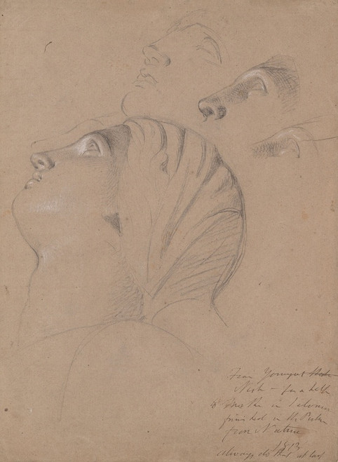 Digital Print - Female Head Study (Study for the Judgment of Solomon) by Benjamin Robert Haydon