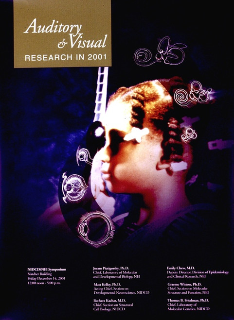 Digital Print - Auditory and visual research in 2001 by National Institutes of Health