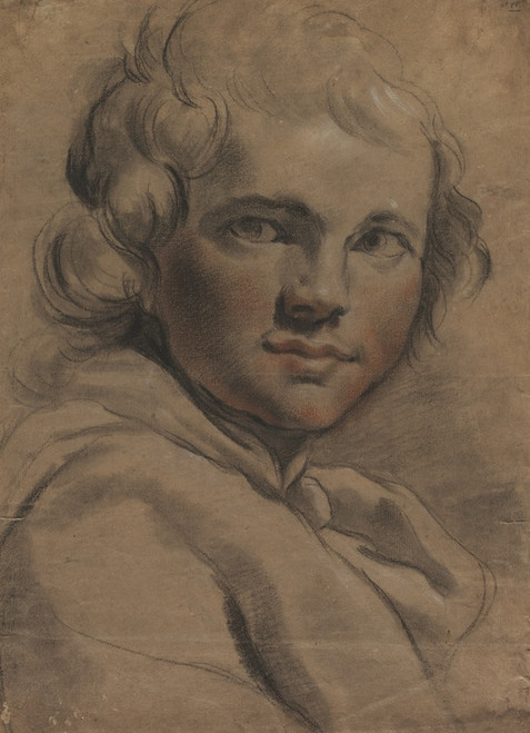 Digital Print - Head of a Young Man (recto) by Gaetano Gandolfi