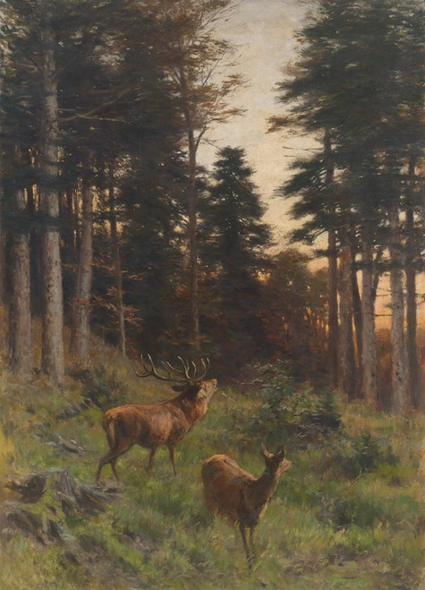 Digital Print - Rotwild In Der Abenddmmerung by Franz Xaver von Pausinger