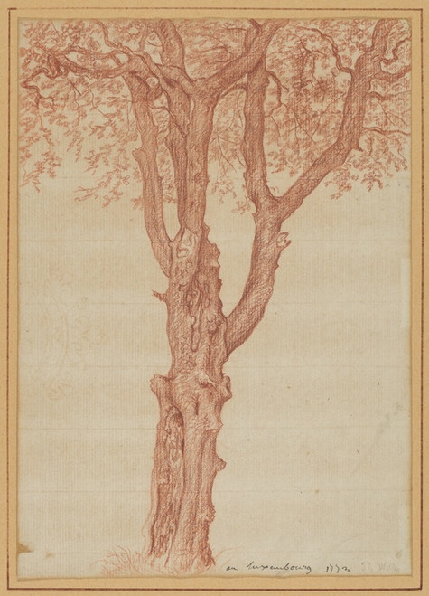 Digital Print - Study of a Tree in the Luxembourg Gardens by Pierre-Henri de Valenciennes