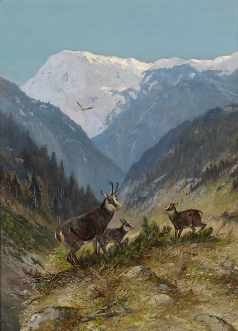 Digital Print - Gamswildrudel by Moritz Mller