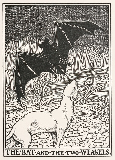 Digital Print - The Bat and the Two Weasels by Percy J. Billinghurst