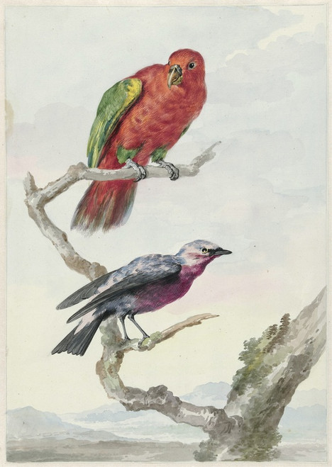 Digital Print - Twee vogels, waaronder een rood-groene papegaai by Aert Schouman