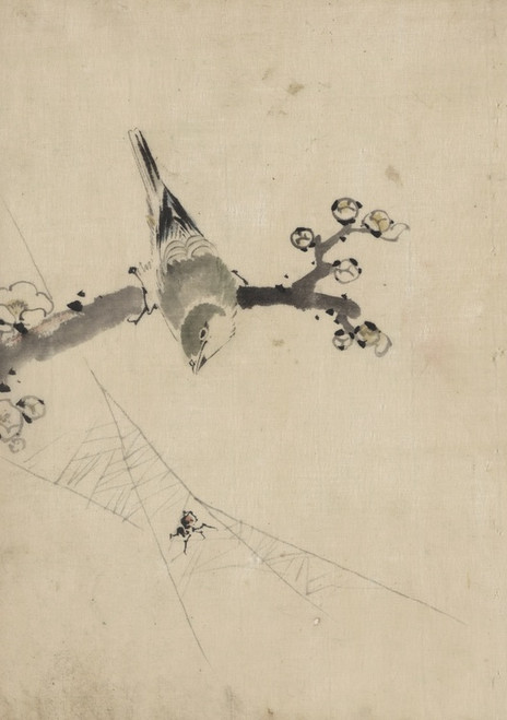 Digital Print - A bird perched on a tree branch with blossoms, watching a spider on a web by Katsushika Hokusai