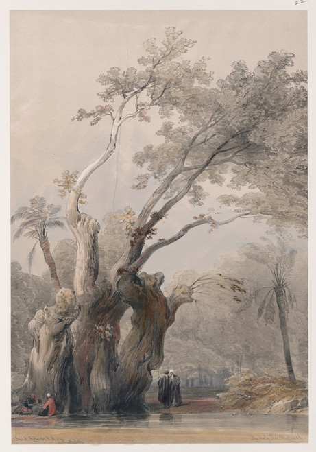 Digital Print - The holy tree of Metereah. by David Roberts