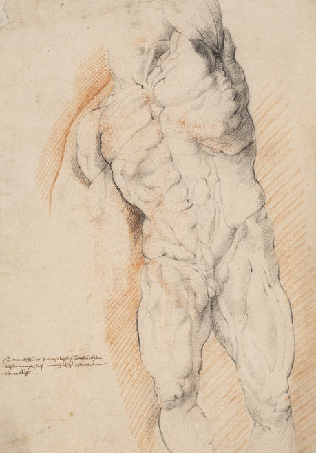 Digital Print - Anatomical Study (corch). Front view of standing flayed man, his left arm raised by Willem Panneels