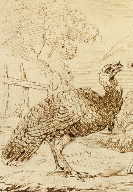 Digital Print - Turkey by Benjamin West