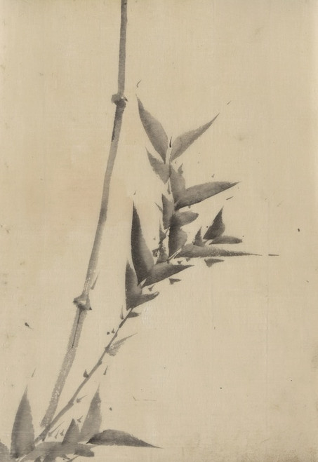 Digital Print - Bamboo shoots by Katsushika Hokusai