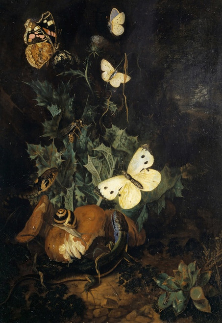 Digital Print - Still Life With Butterflies, Lizard And Snake by Carl Wilhelm De Hamilton
