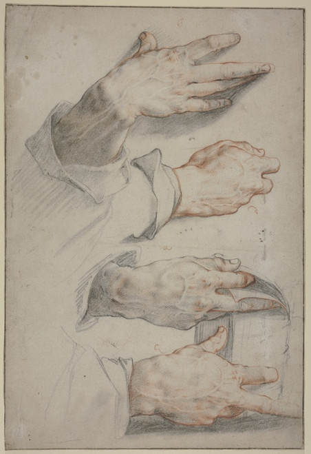 Digital Print - Four studies of a right hand by Hendrick Goltzius