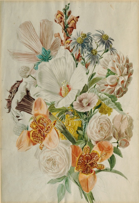 Digital Print - Blumenstrau mit Hibiscus und Lilien by Leopold von Stoll