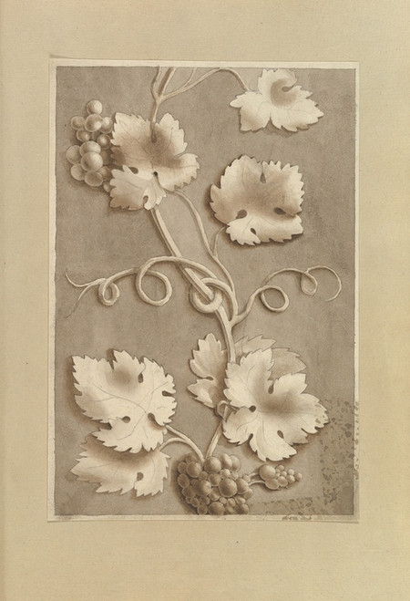 Digital Print - Grapes and Vine-leaves by Alfred Henry Forrester