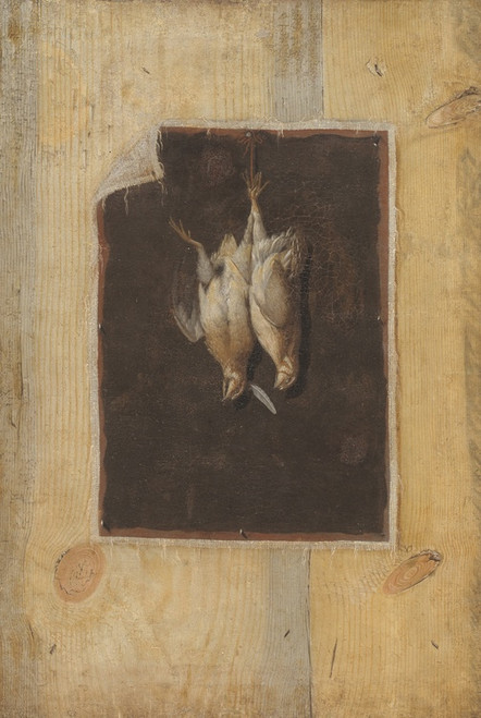 Digital Print - Trompe L'oeil. Board Partition With A Still Life Of Two Dead Birds Hanging On A Wall by Cornelius Norbertus Gijsbrechts