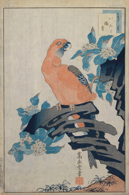 Digital Print - Untitled by Sugakudo