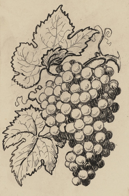 Digital Print - Traube by Hans Thoma