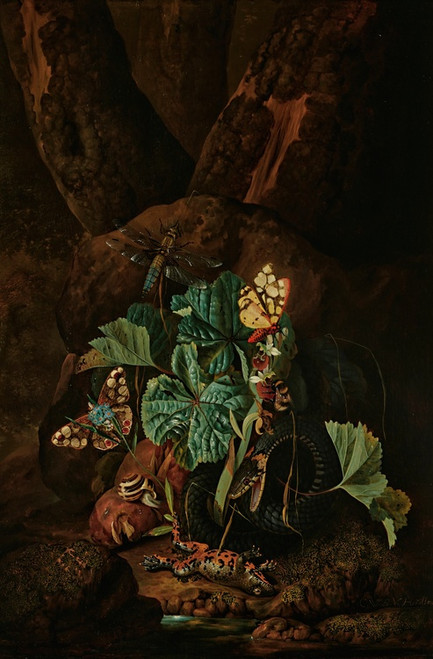 Digital Print - A forest floor with a snake, frog, snail, butterflies and other insects by Karl Wilhelm De Hamilton