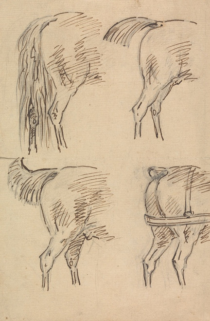 Digital Print - Four Sketches of Hind Quarters of Horse by Sawrey Gilpin