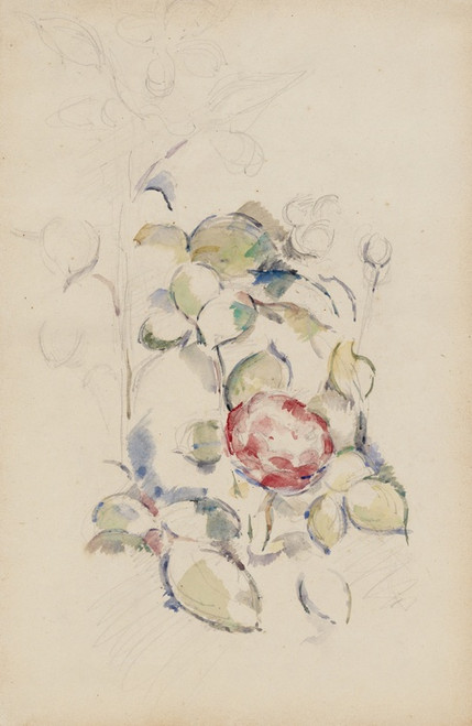 Digital Print - Flowers by Paul Czanne