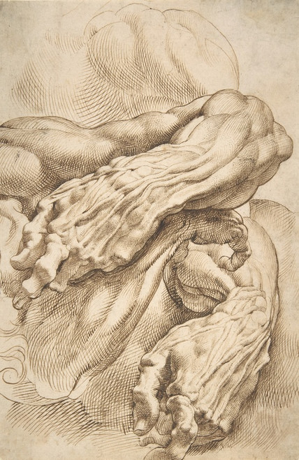 Digital Print - Anatomical Studies; a left forearm in two positions and a right forearm by Peter Paul Rubens