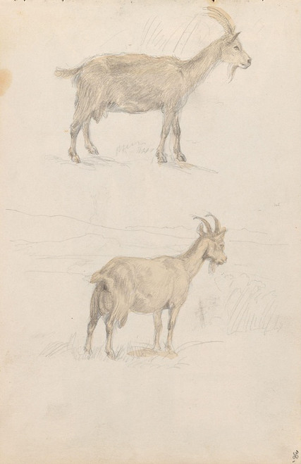 Digital Print - Geiter by Adolph Tidemand