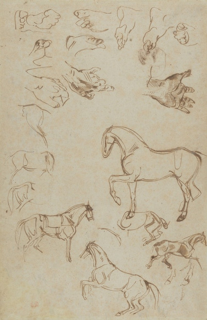 Digital Print - Studies of Horses, Hands, and Feet by Eugne Delacroix