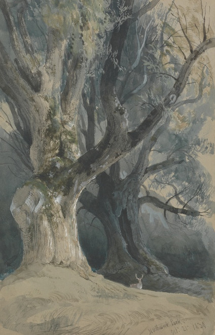 Digital Print - Trees in Northwick Park by David Roberts