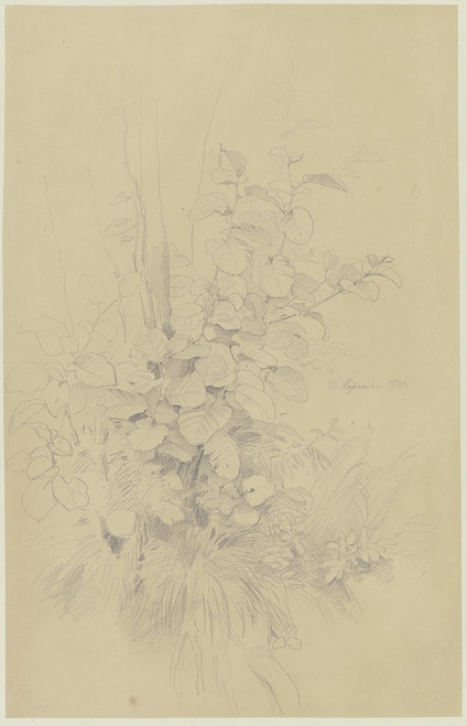 Digital Print - Turf by Jakob Becker Digital Print - Turf by Jakob Becker