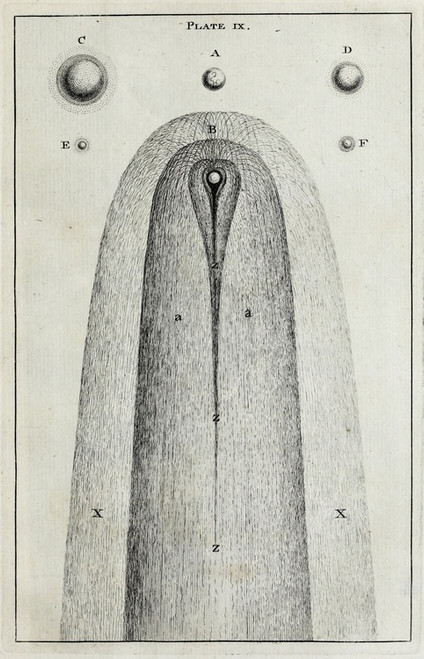 Digital Print - An original theory or new hypothesis of the universe, Plate IX by Thomas Wright
