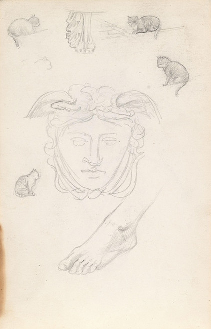 Digital Print - Ansiktsrelieff; fot; katter by Adolph Tidemand