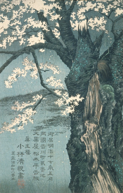 Digital Print - Warrior Taira no Tadanori about to Sleep under a Cherry Tree by Kobayashi Kiyochika