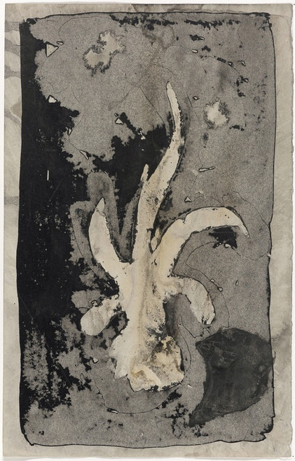 Digital Print - Bloem (orchidee), 1874 - 1945 by Carel Adolph Lion Cachet