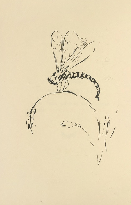 Digital Print - Histoires naturelles Pl 39 by Pierre Bonnard