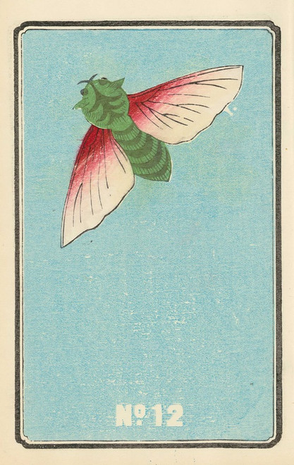 Digital Print - Illustrated Catalogue of Daylight Bomb Shells No. 12 by Jinta Hirayama