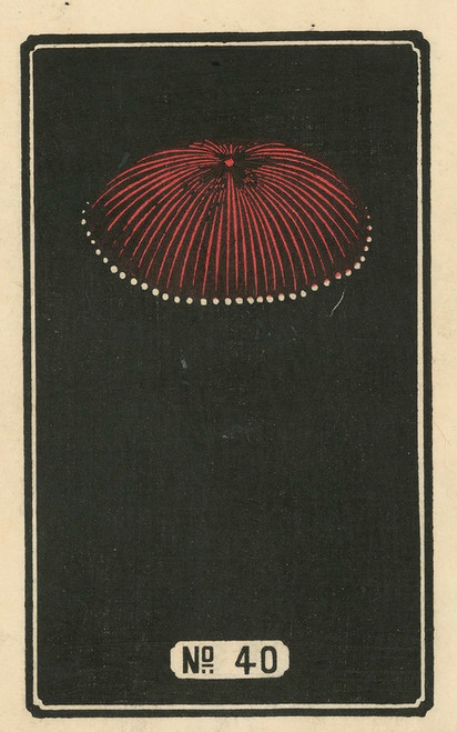 Digital Print - Night Fireworks no. 40 by Jinta Hirayama