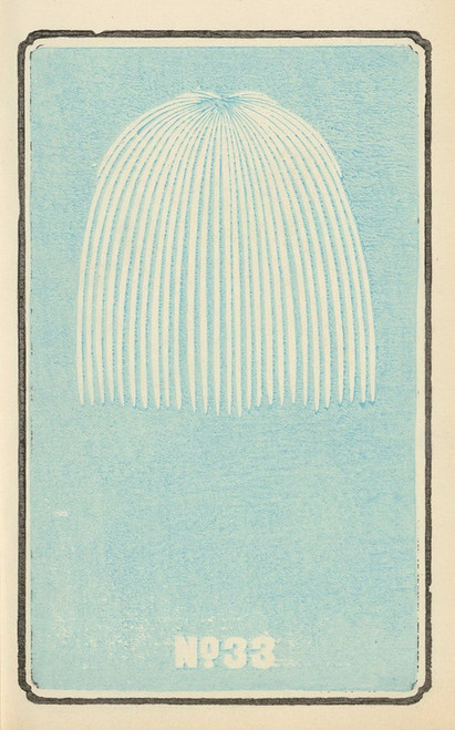 Digital Print - Illustrated Catalogue of Daylight Bomb Shells No. 33 by Jinta Hirayama