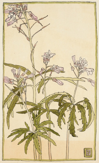 Digital Print - Pink Flowers with Spiky Green Leaves by Hannah Borger Overbeck