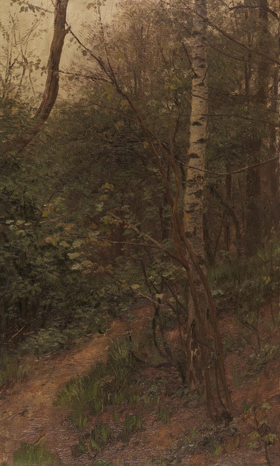Digital Print - Birken am Waldrand by Alexander Koester