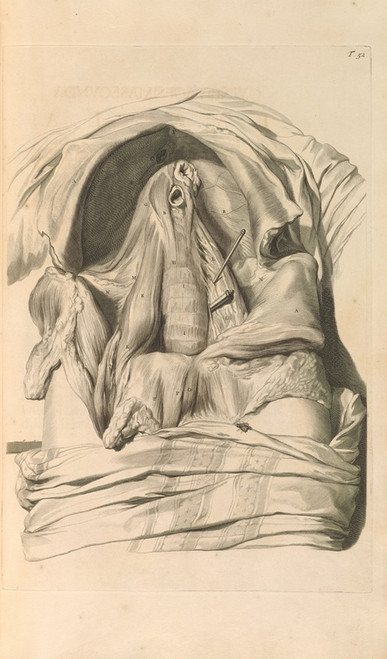 Digital Print - Anatomia humani corporis Pl.053 by Gerard de Lairesse
