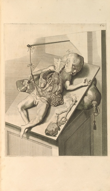 Digital Print - Anatomia humani corporis Pl.064 by Gerard de Lairesse