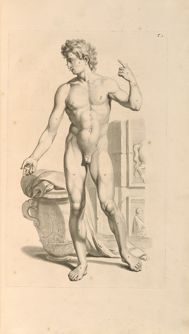Digital Print - Anatomia humani corporis Pl.002 by Gerard de Lairesse