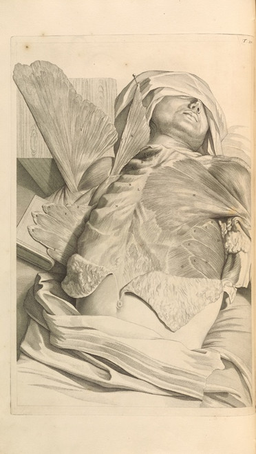 Digital Print - Anatomia humani corporis Pl.021 by Gerard de Lairesse