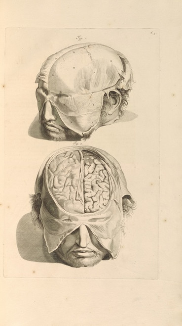 Digital Print - Anatomia humani corporis Pl.006 by Gerard de Lairesse